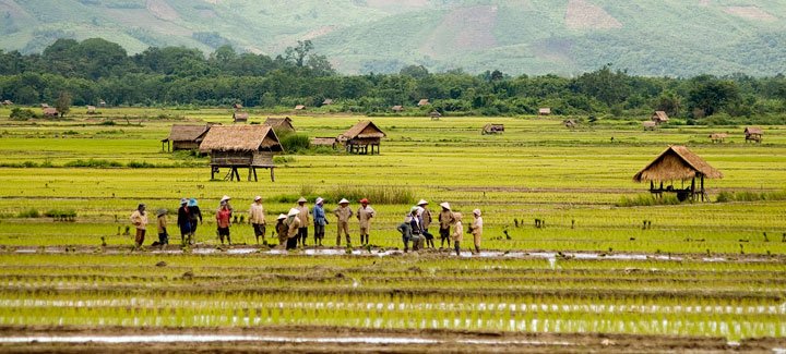 Laos e agrobusiness